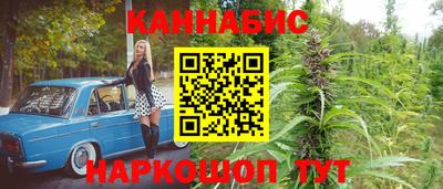 гашик Донецк