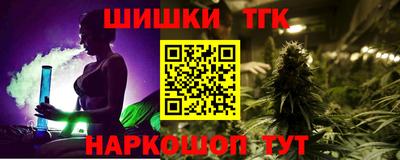 индика Дубна