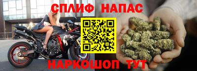 индика Дубна