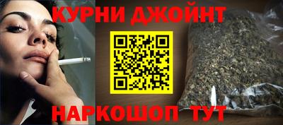 индика Дубна