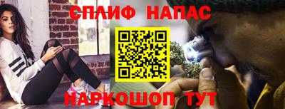 гашик Донецк