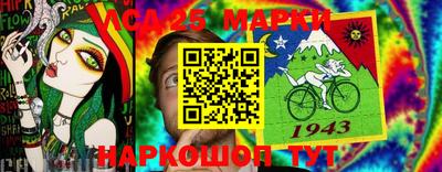 индика Дубна