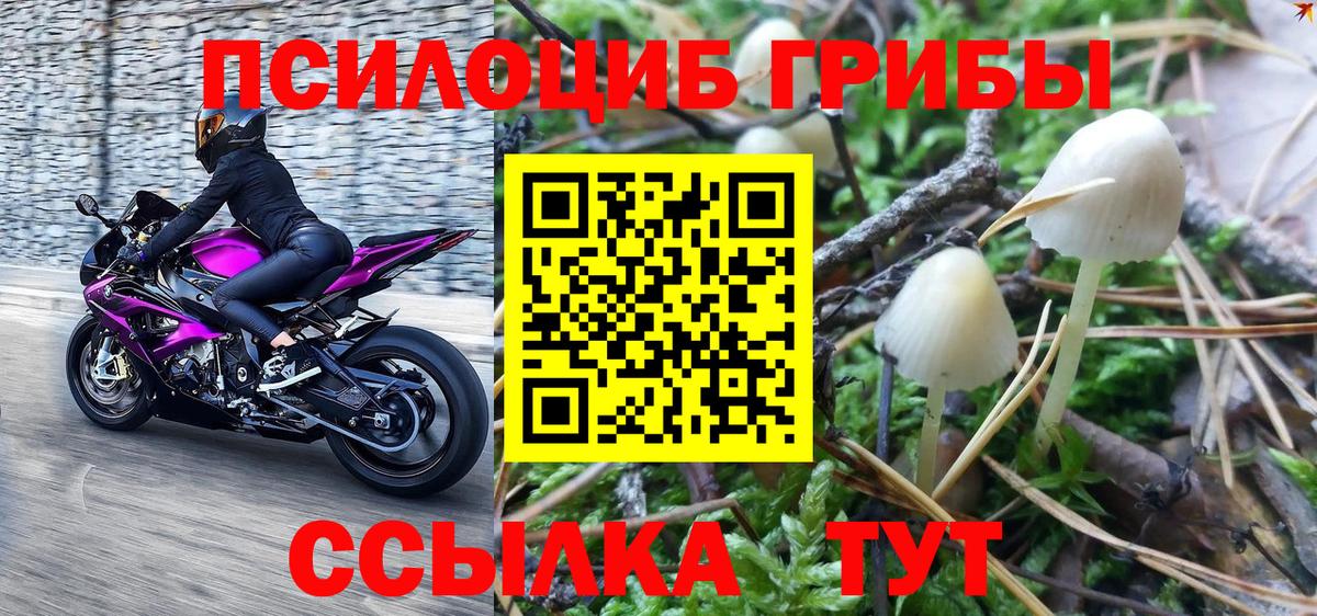 магазин продажи наркотиков  Псилоцибиновые грибы MAGIC MUSHROOMS  Псилоцибиновые грибы прущие грибы  Вход с VPN  Надым 